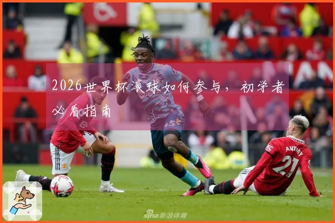 2026世界杯滚球如何参与，初学者必看指南