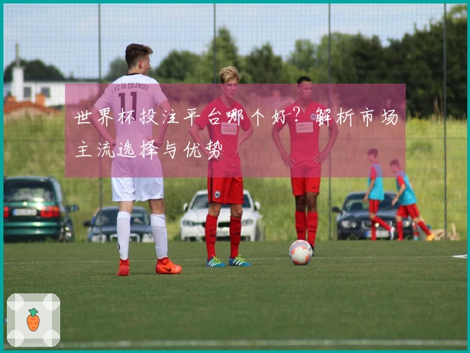 世界杯投注平台哪个好？解析市场主流选择与优势