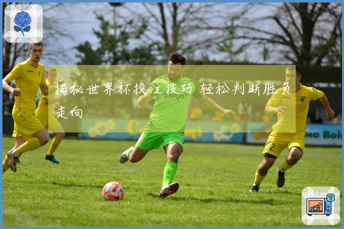 揭秘世界杯投注技巧 轻松判断胜负走向