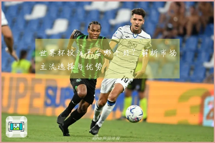 世界杯投注平台哪个好？解析市场主流选择与优势